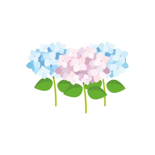 紫陽花 イラスト | 梅雨・６月 | 無料・商用利用可 | RASEAC-005-C | 無料素材ペペロ